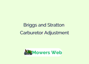 Briggs and Stratton Carburetor Adjustment