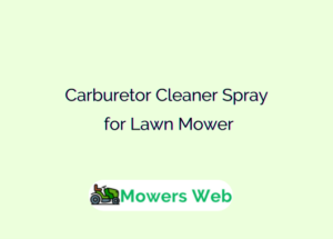 Carburetor Cleaner Spray for Lawn Mower