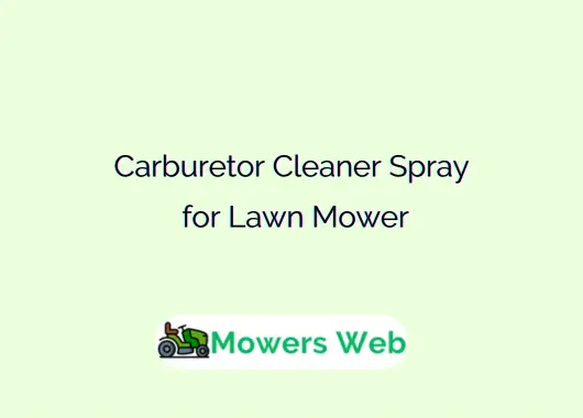 Carburetor Cleaner Spray for Lawn Mower
