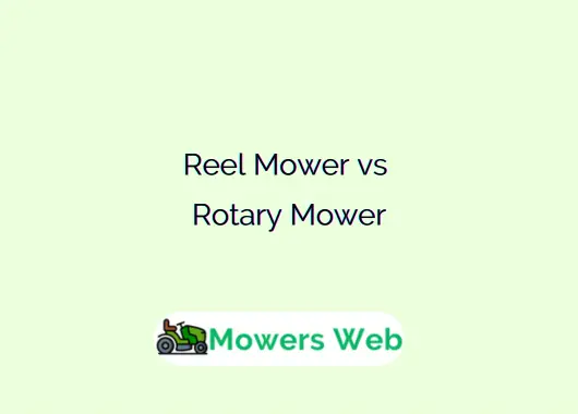 Reel Mower vs Rotary Mower
