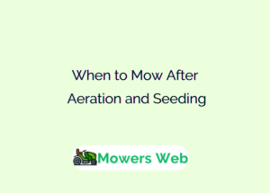 When to Mow After Aeration and Seeding