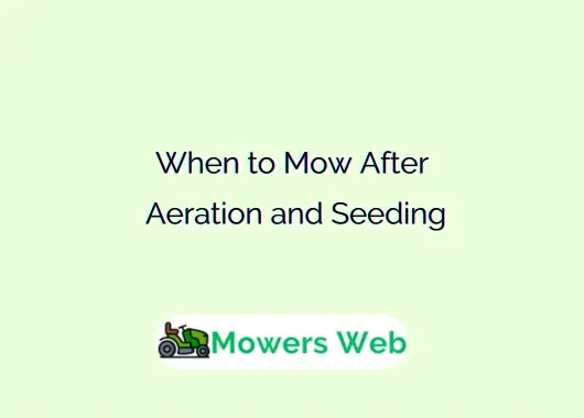 When to Mow After Aeration and Seeding