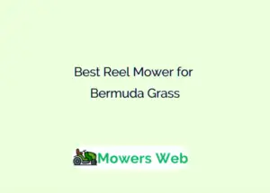 Best Reel Mower for Bermuda Grass