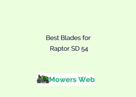 Best Blades for Raptor SD 54