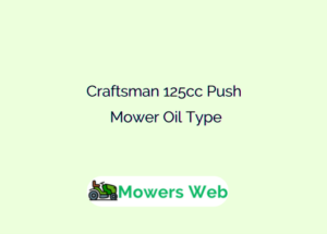 Craftsman 125cc Push Mower Oil Type