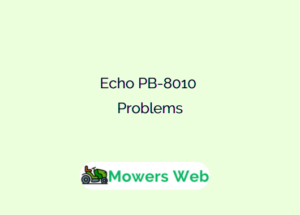 Echo PB-8010 Problems