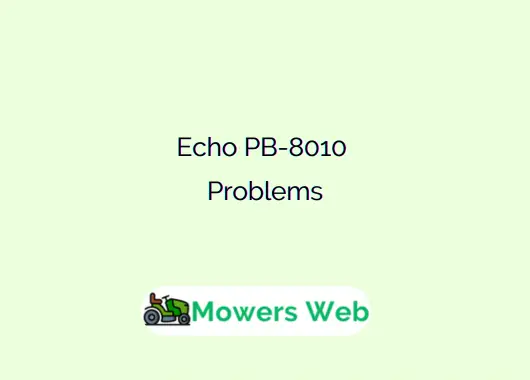 Echo PB-8010 Problems