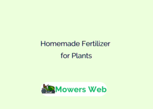 Homemade Fertilizer for Plants