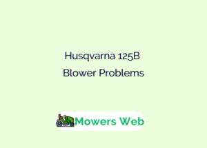 Husqvarna 125B Blower Problems