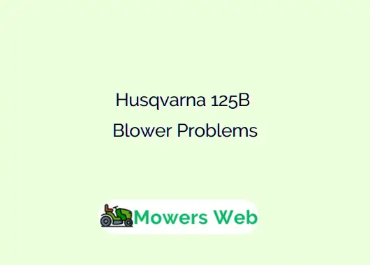 Husqvarna 125B Blower Problems