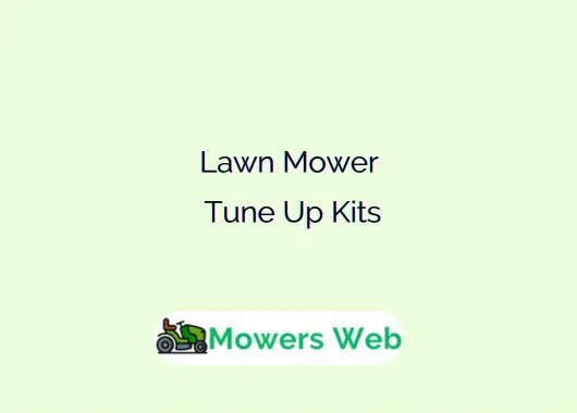 Lawn Mower Tune Up Kits