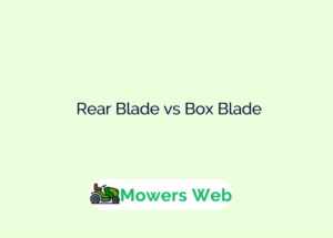 Rear Blade vs Box Blade
