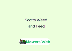 Scotts Weed and Feed