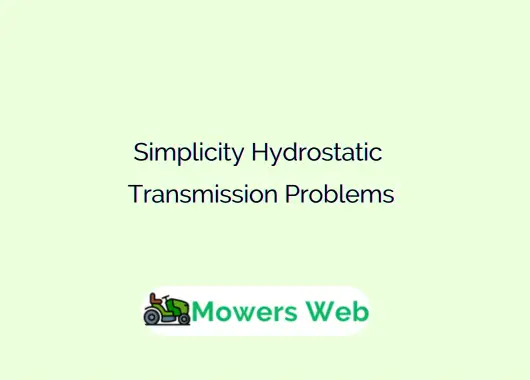 Simplicity Hydrostatic Transmission Problems