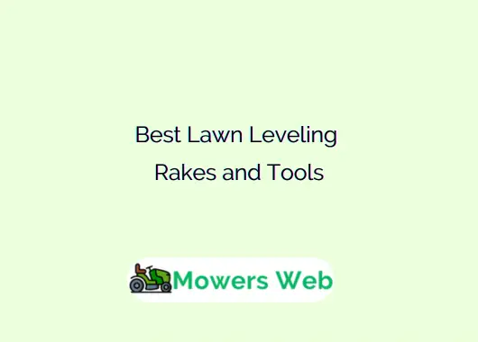 Best Lawn Leveling Rakes and Tools