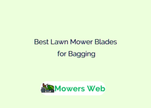 Best Lawn Mower Blades for Bagging