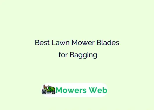 Best Lawn Mower Blades for Bagging