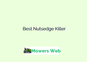 Best Nutsedge Killer