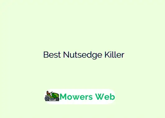 Best Nutsedge Killer