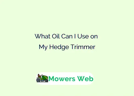 What Oil Can I Use on My Hedge Trimmer