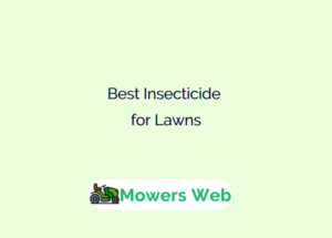 Best Insecticide for Lawns
