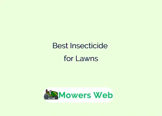 Best Insecticide for Lawns