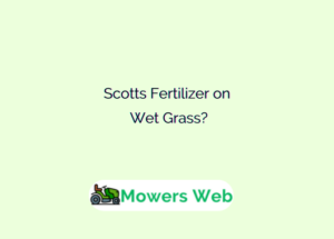 Scotts Fertilizer on Wet Grass