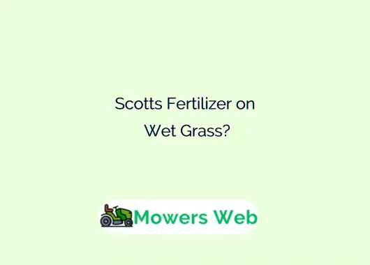 Scotts Fertilizer on Wet Grass