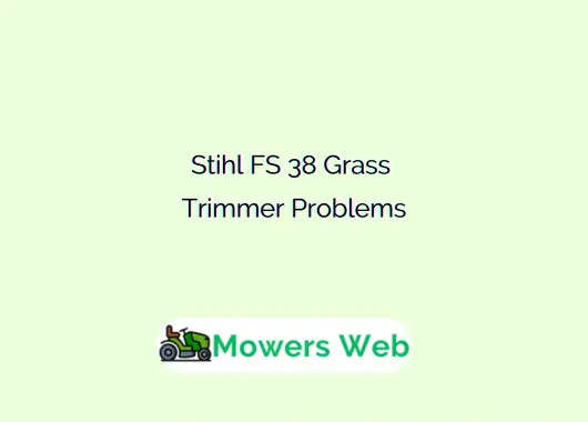Stihl FS 38 Grass Trimmer Problems