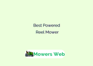 Best Powered Reel Mower