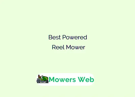 Best Powered Reel Mower
